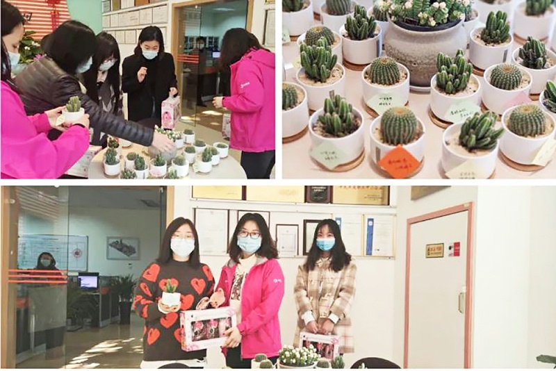 三八婦女節(jié)