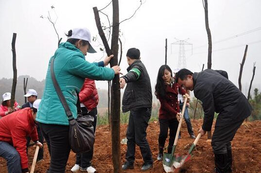 植樹(shù)節(jié)